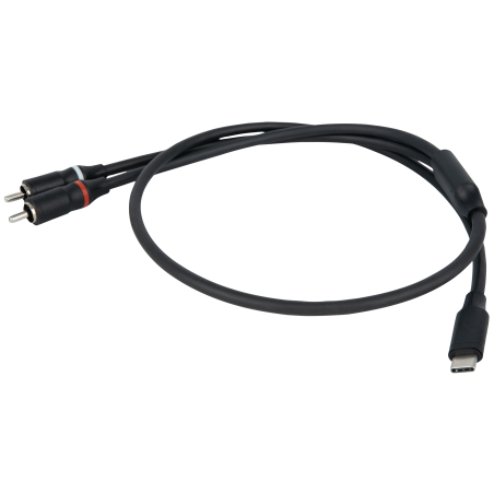 Câble FL110 – Adaptateur USB-C vers 2 connecteurs RCA mâles 0,75m